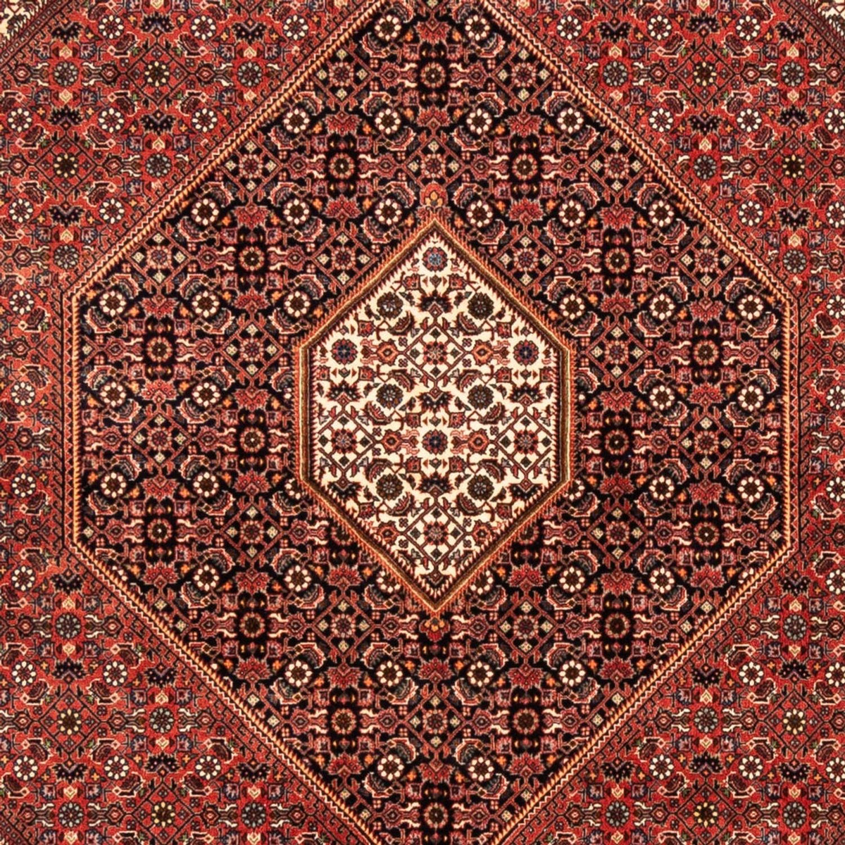 Tappeto Persero - Bidjar - 235 x 170 cm - rosso
