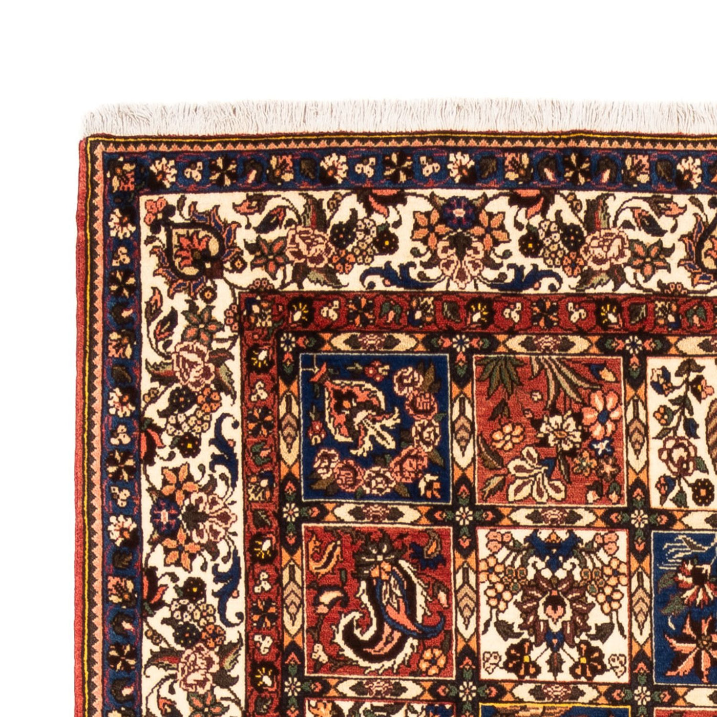 Bakhtiari Tappeto 240x158cm - Tappeto persiano
