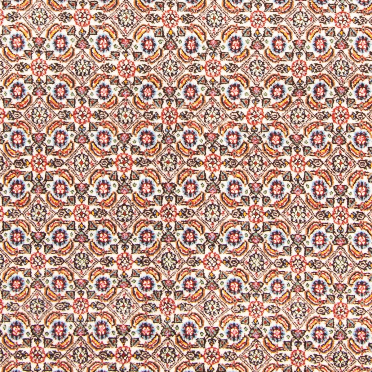 Tappeto Persero - Classico - 185 x 147 cm - crema