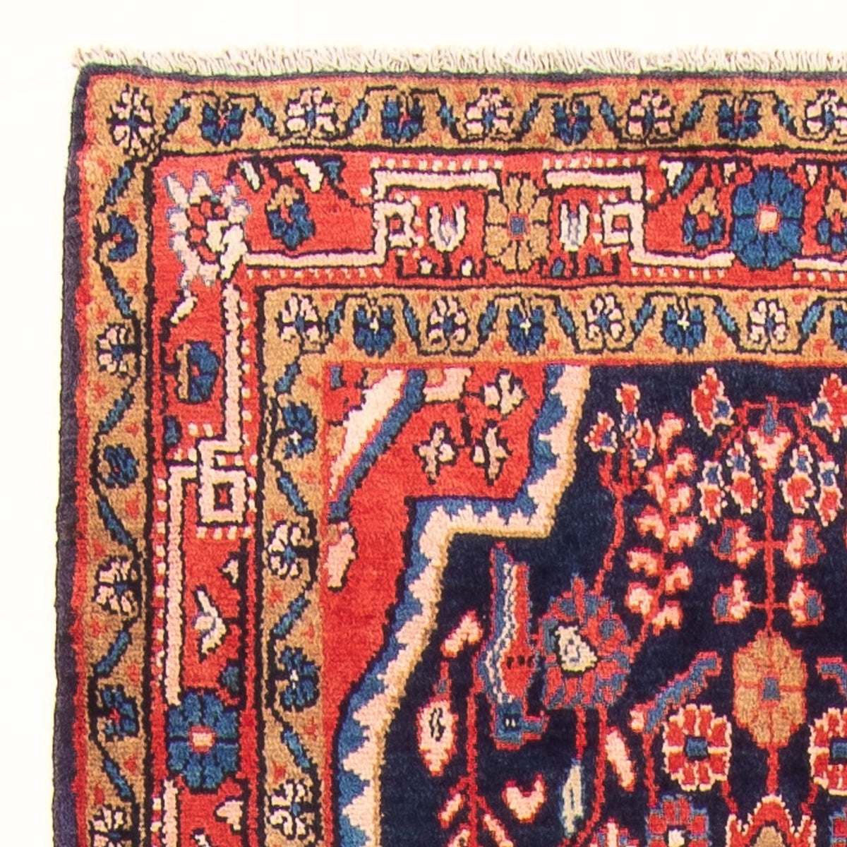 Kolyai Tappeto 111x313cm - Tappeto persiano