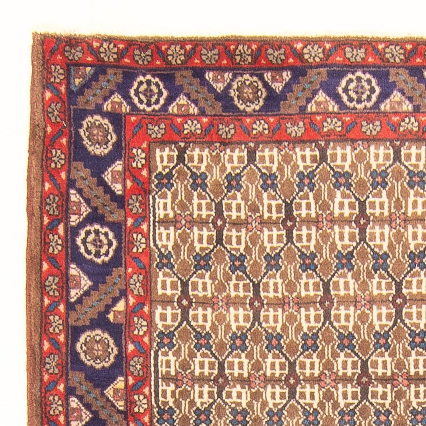 Kolyai Tappeto 220x112cm - Tappeto persiano