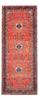 Kolyai Tappeto 311x126cm - Tappeto persiano
