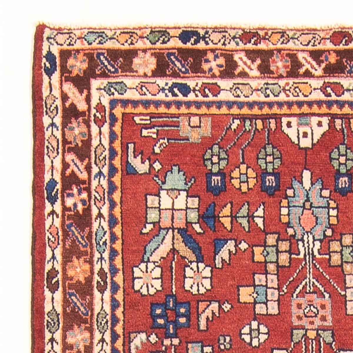 Kolyai Tappeto 106x308cm - Tappeto persiano