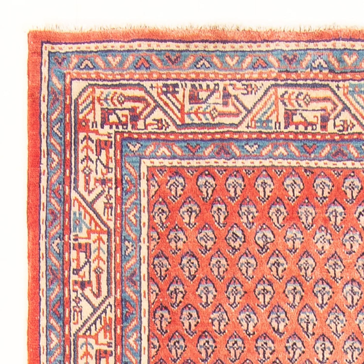 Mir Tappeto 107x316cm - Tappeto persiano