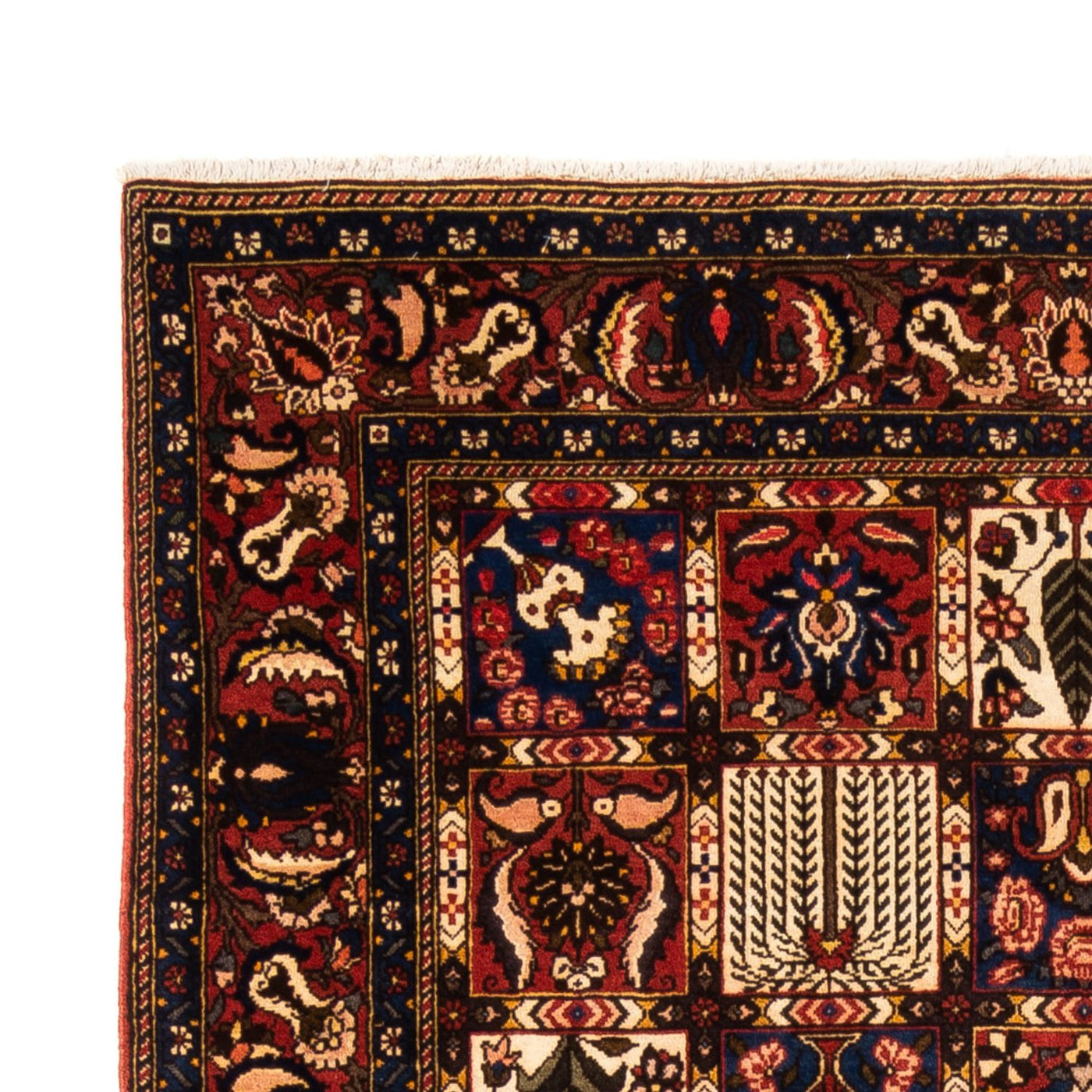 Bakhtiari Tappeto 250x155cm - Tappeto persiano