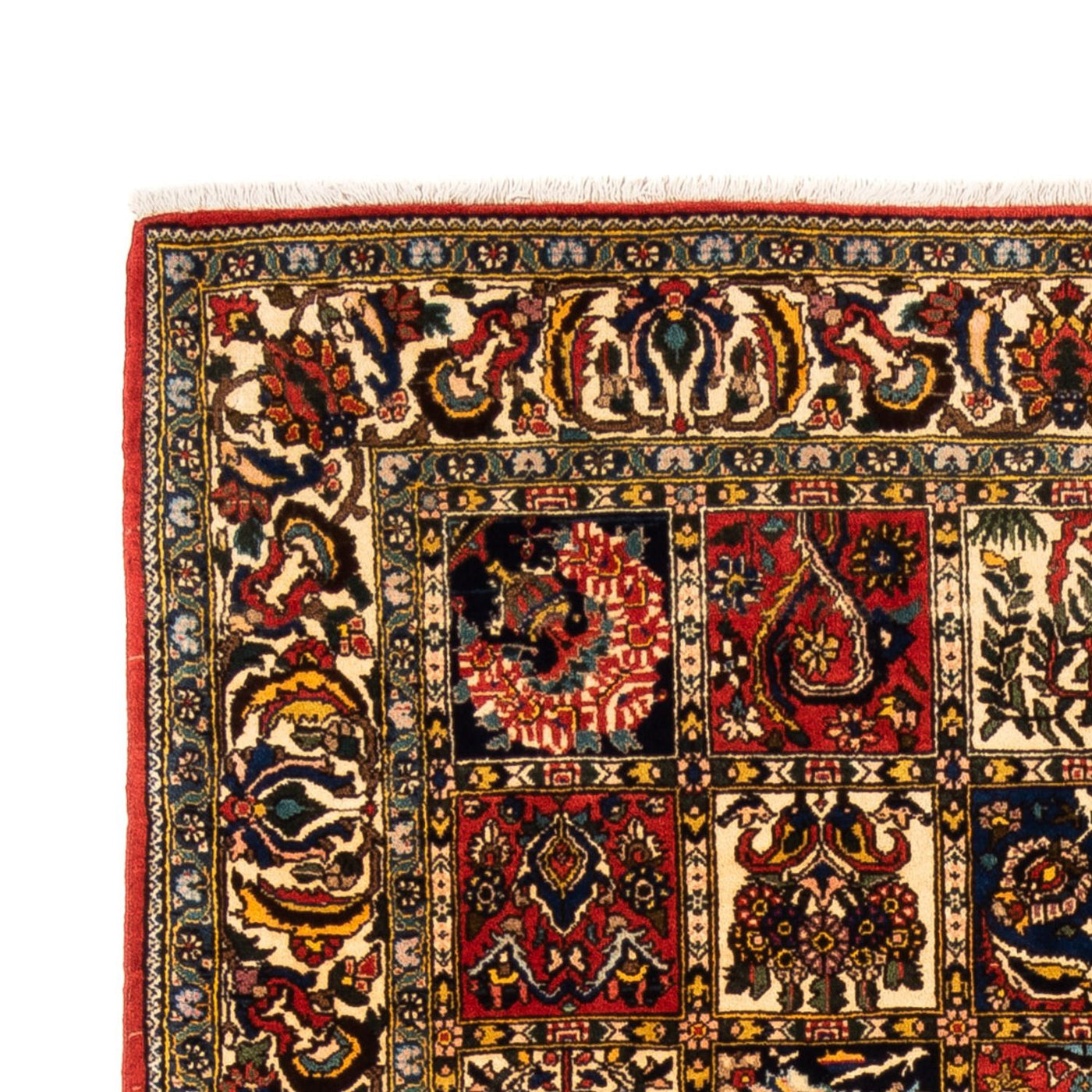 Bakhtiari Tappeto 250x155cm - Tappeto persiano