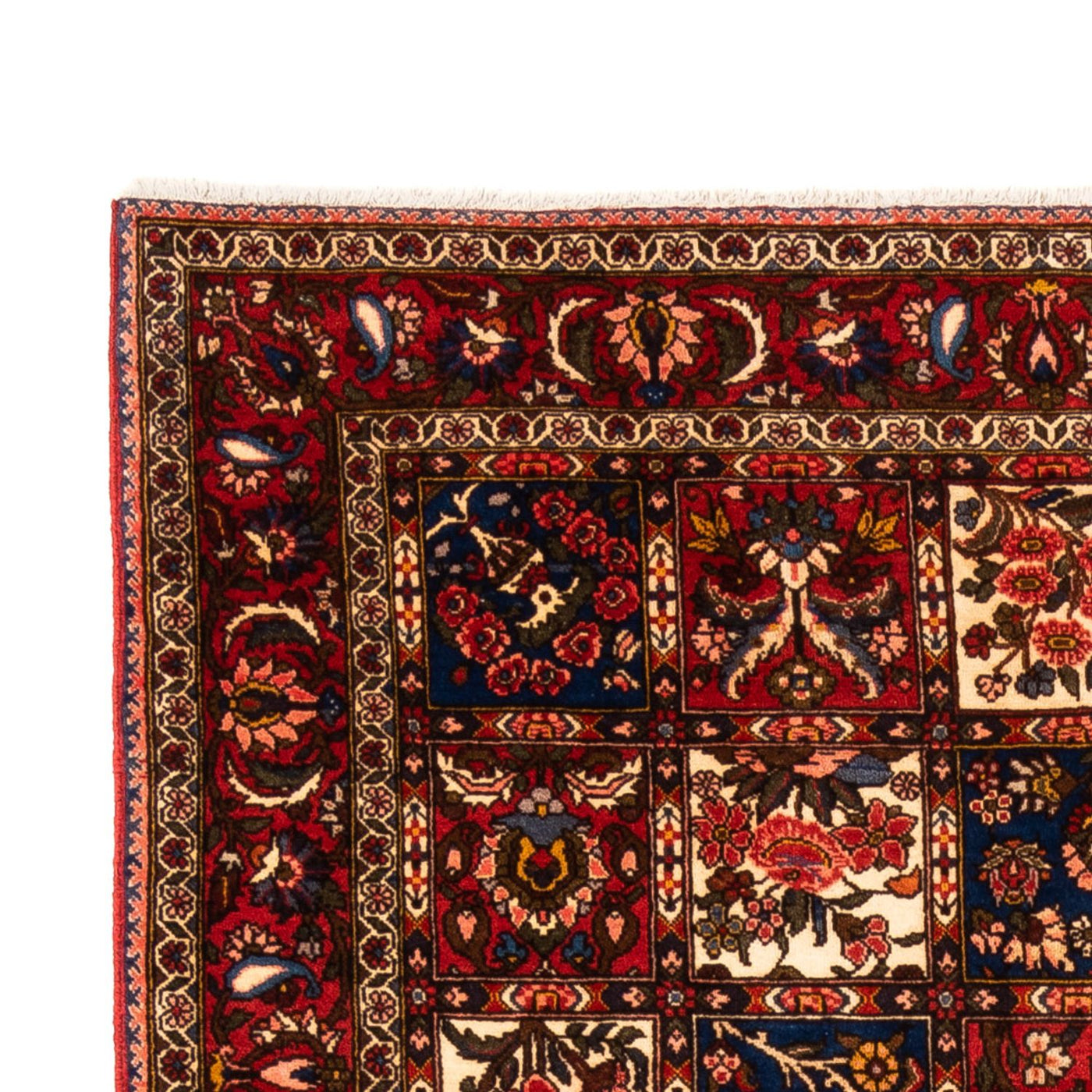 Bakhtiari Tappeto 260x157cm - Tappeto persiano