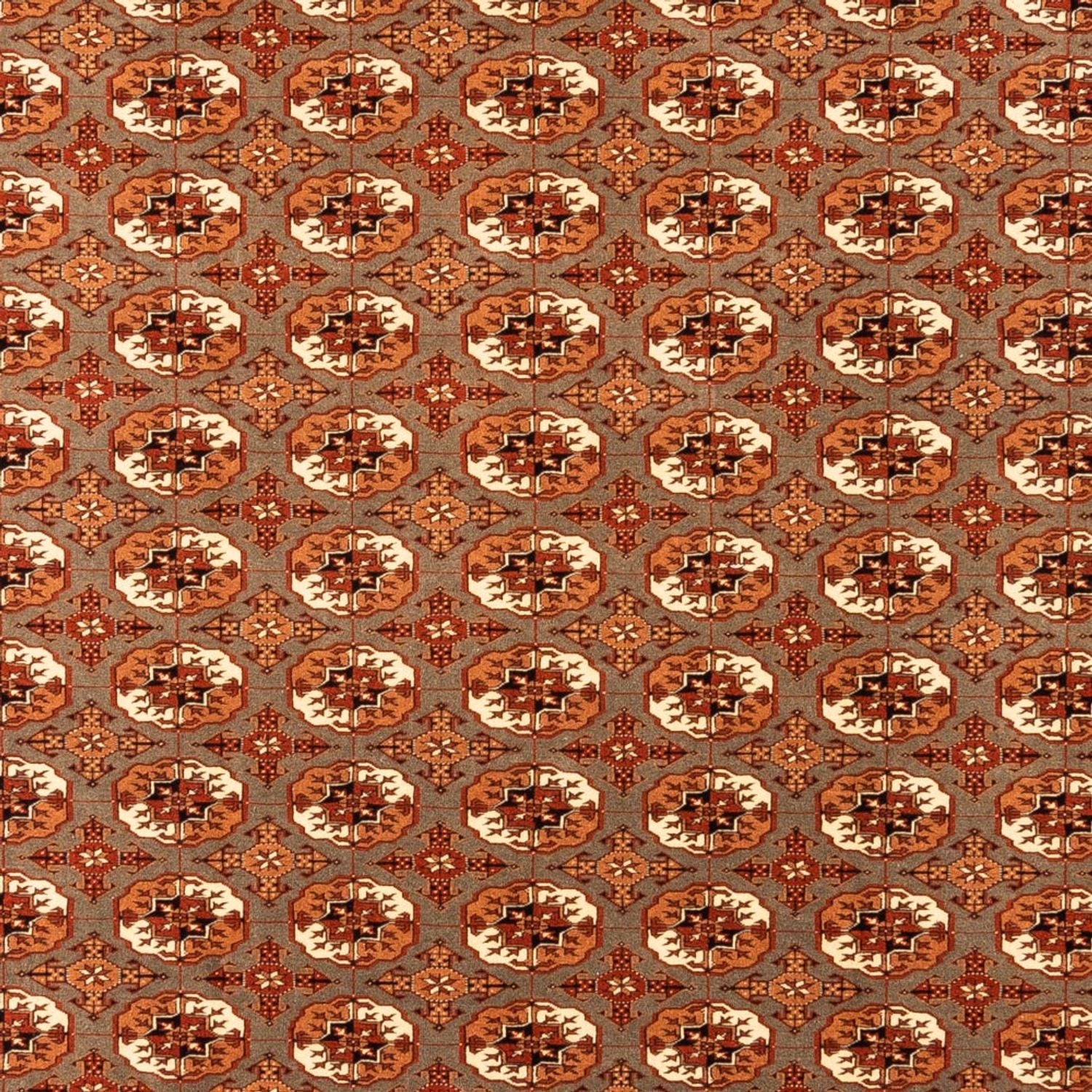 Tappeto Turkaman - 305 x 205 cm - beige scuro