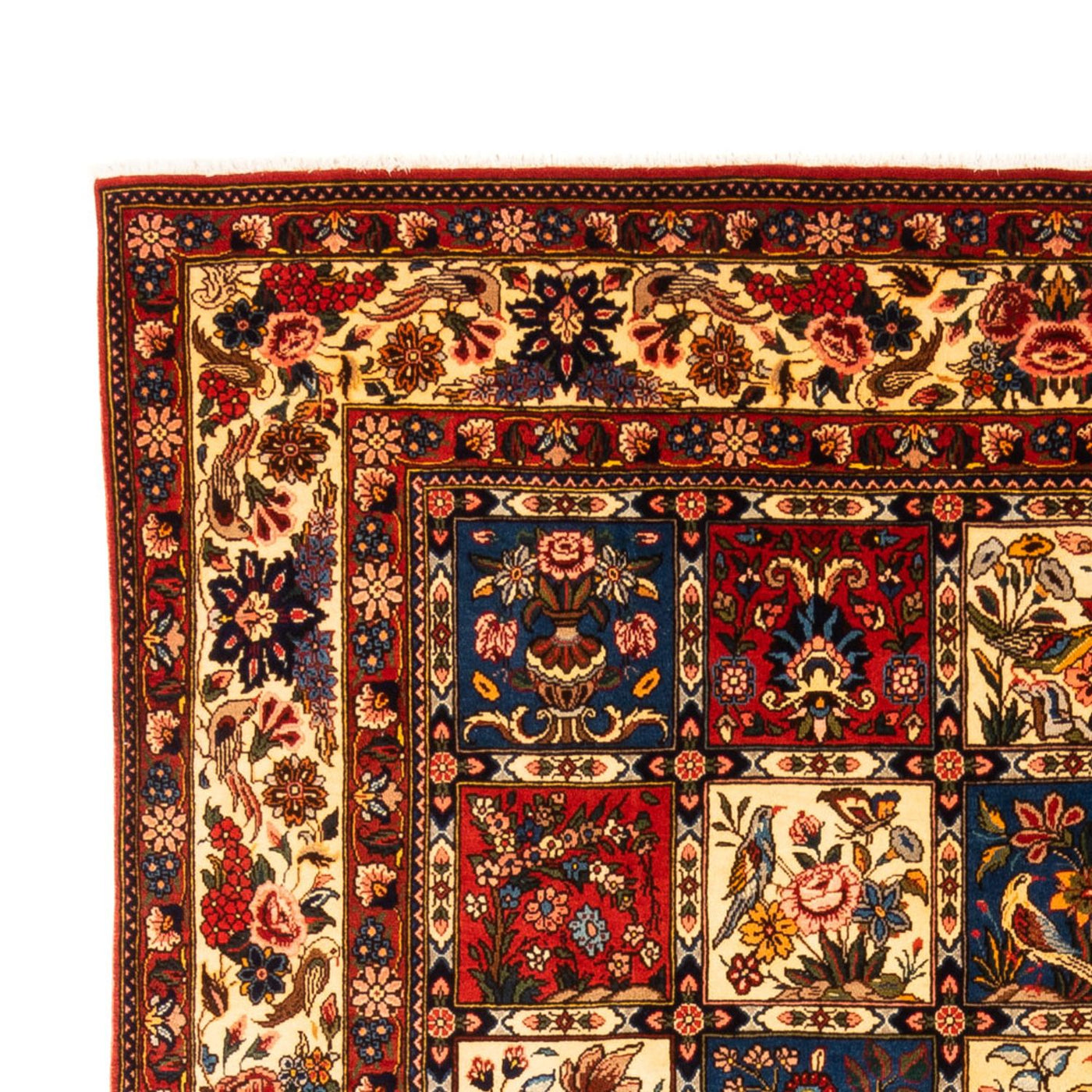 Bachtiar Tappeto 315x204cm - Tappeto persiano
