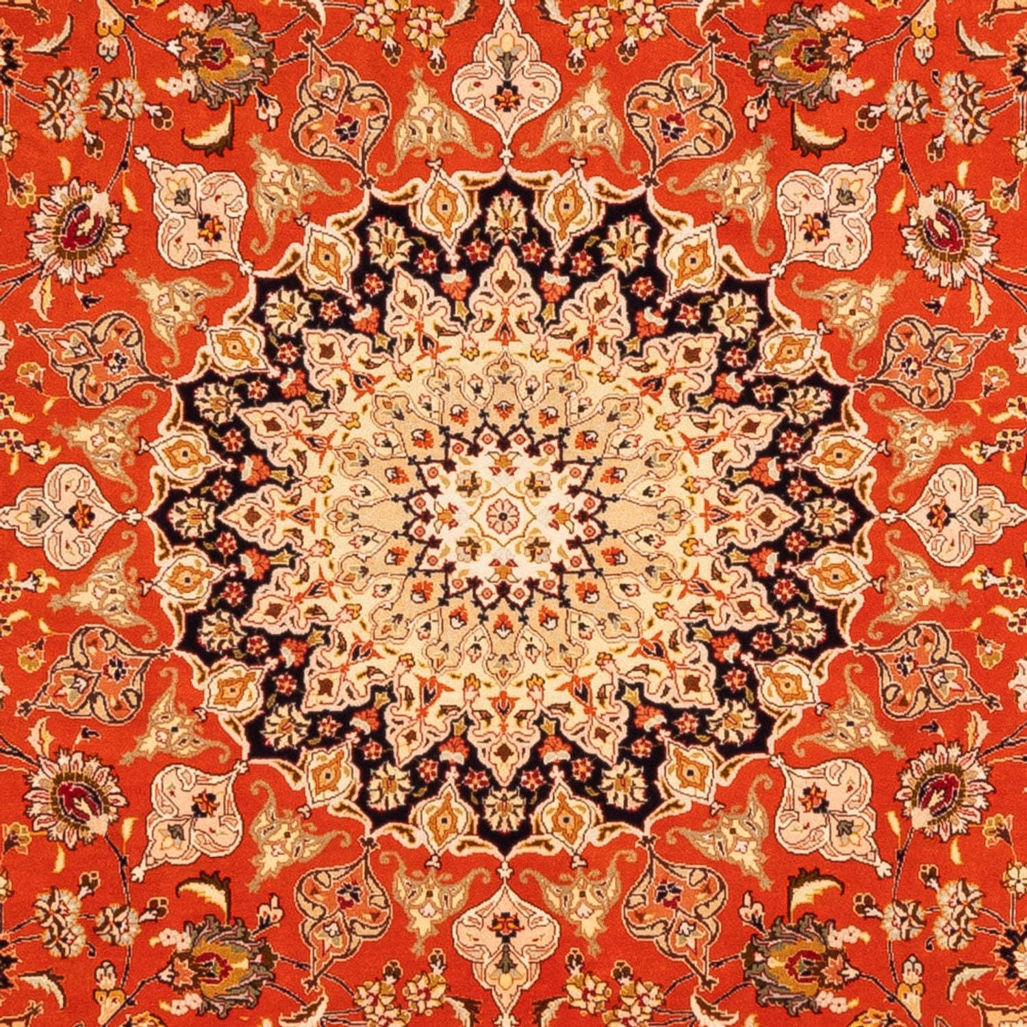 Tappeto Persero - Tabriz quadrato  - 253 x 249 cm - arancione
