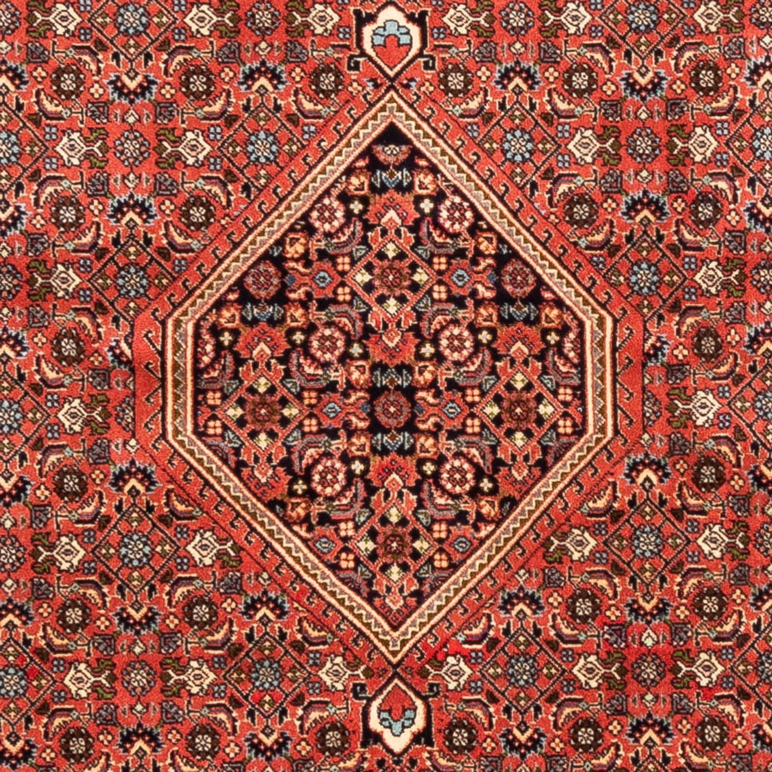 Tappeto Persero - Bidjar - 233 x 200 cm - rosso chiaro