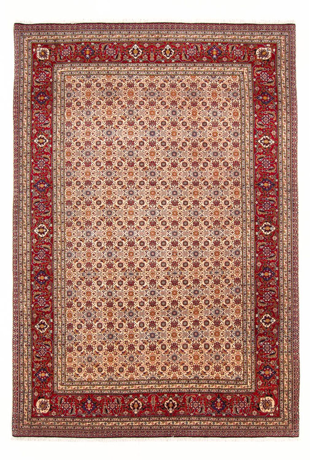 Tappeto Persero - Classico - 302 x 200 cm - crema