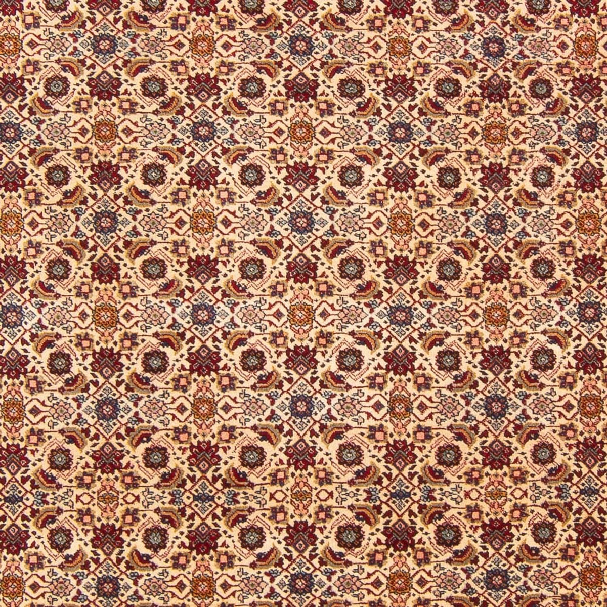 Tappeto Persero - Classico - 302 x 200 cm - crema