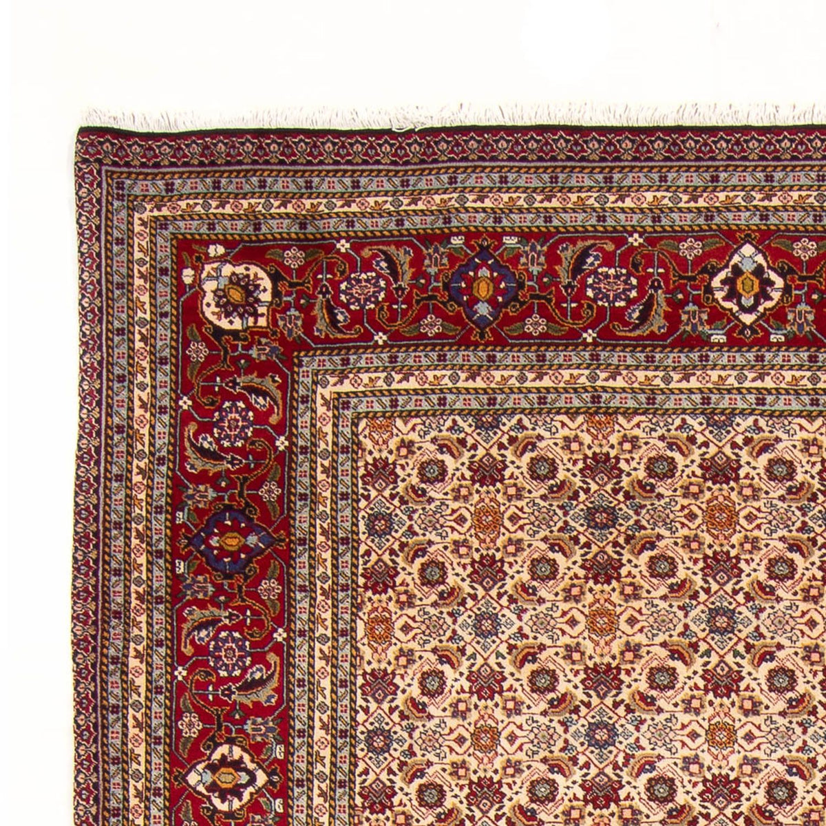 Tappeto Persero - Classico - 302 x 200 cm - crema