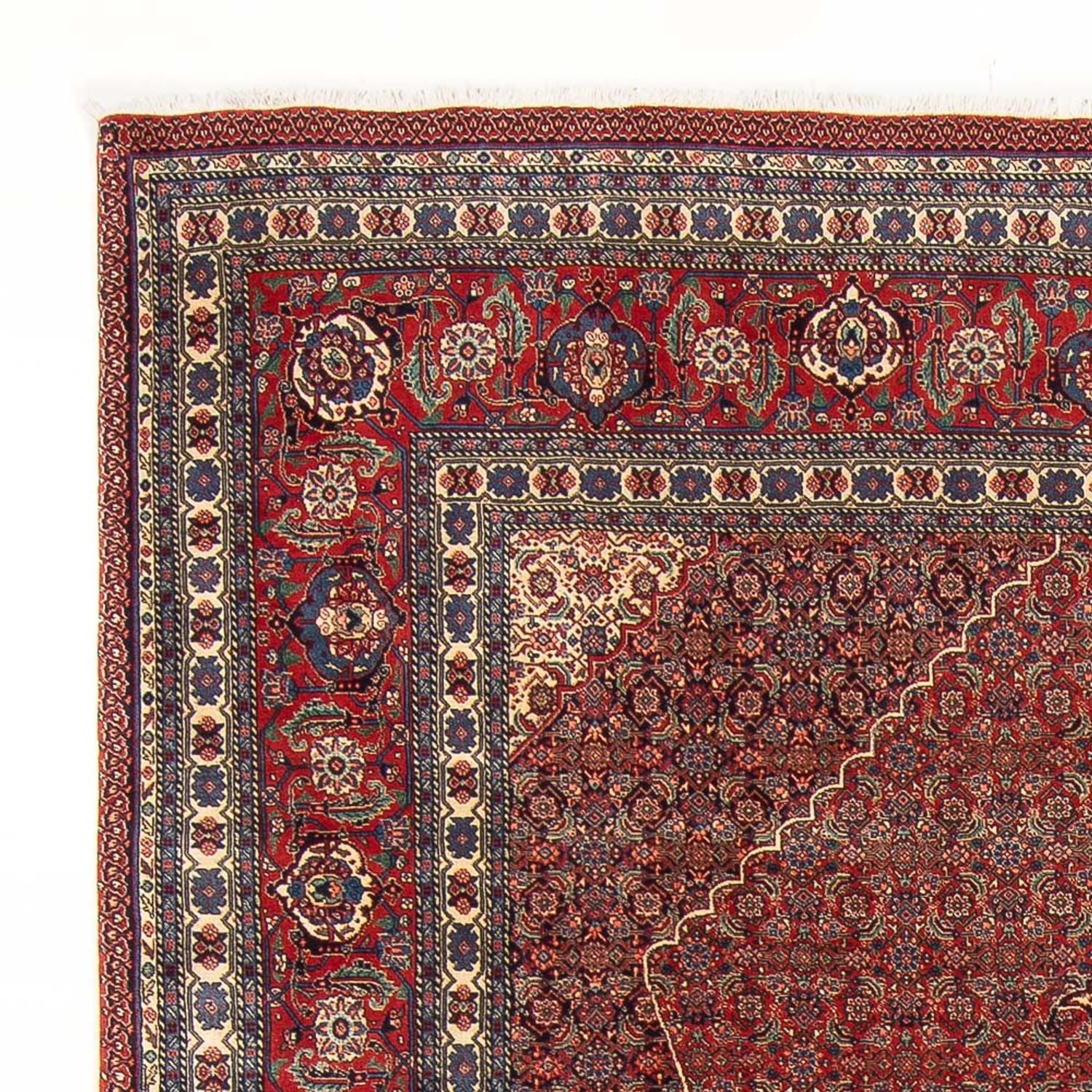 Tappeto Persero - Tabriz - Reale - 290 x 202 cm - rosso scuro