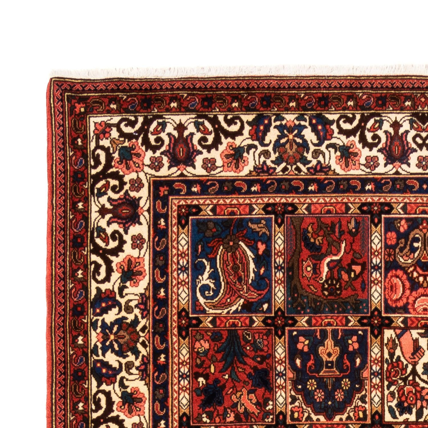 Bakhtiari Tappeto 252x157cm - Tappeto persiano