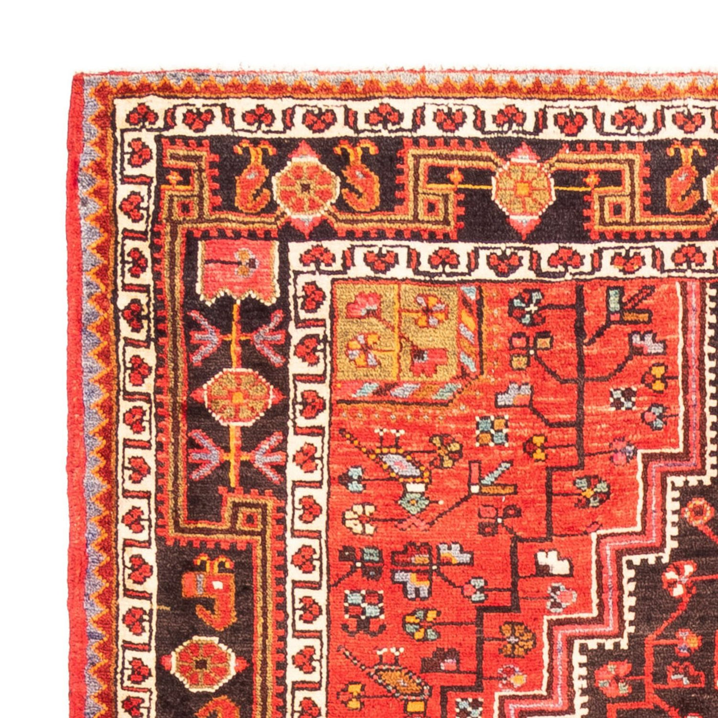 Hamadan Tappeto 273x154cm - Tappeto persiano