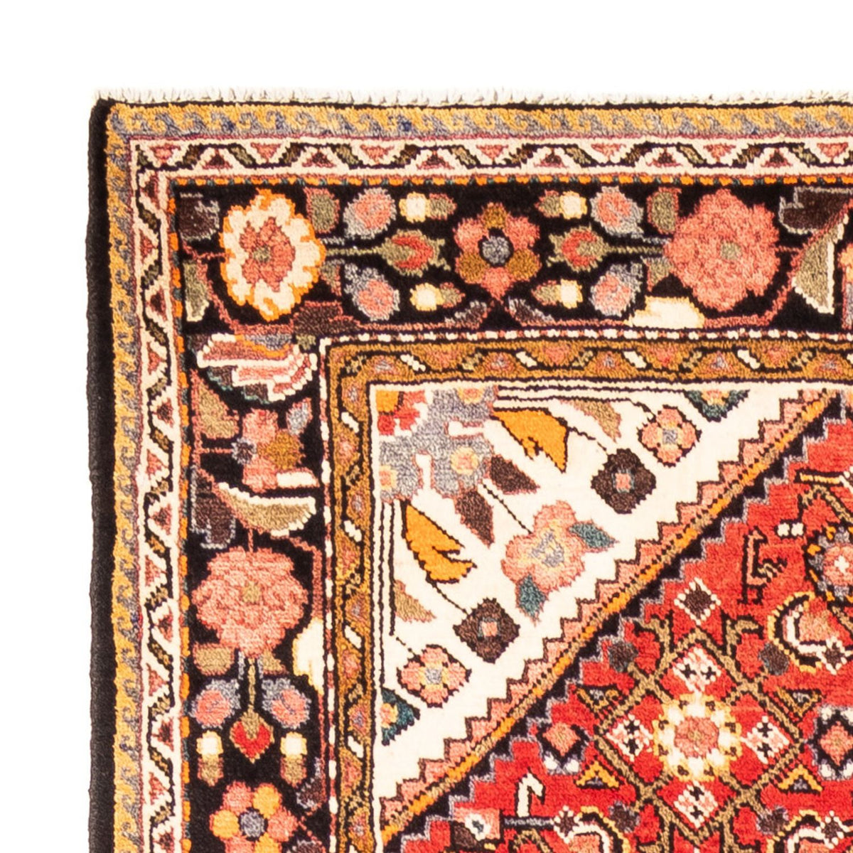 Hosseinabad Tappeto 160x315cm - Tappeto persiano