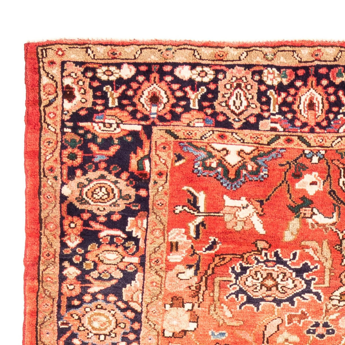 Hamadan Tappeto 278x150cm - Tappeto persiano