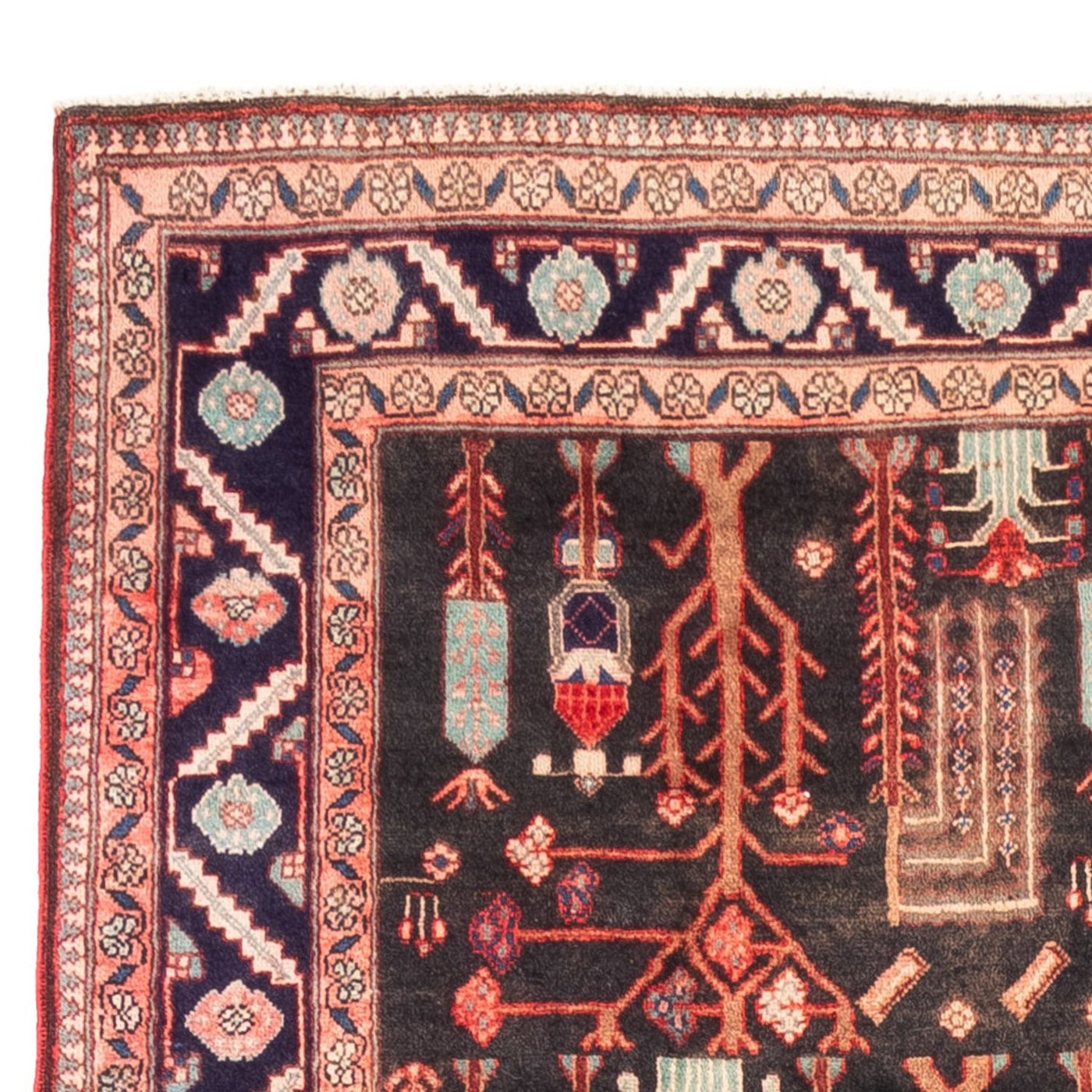 Kolyai Tappeto 270x152cm - Tappeto persiano