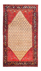 Kolyai Tappeto 273x153cm - Tappeto persiano