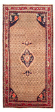 Kolyai Tappeto 310x160cm - Tappeto persiano