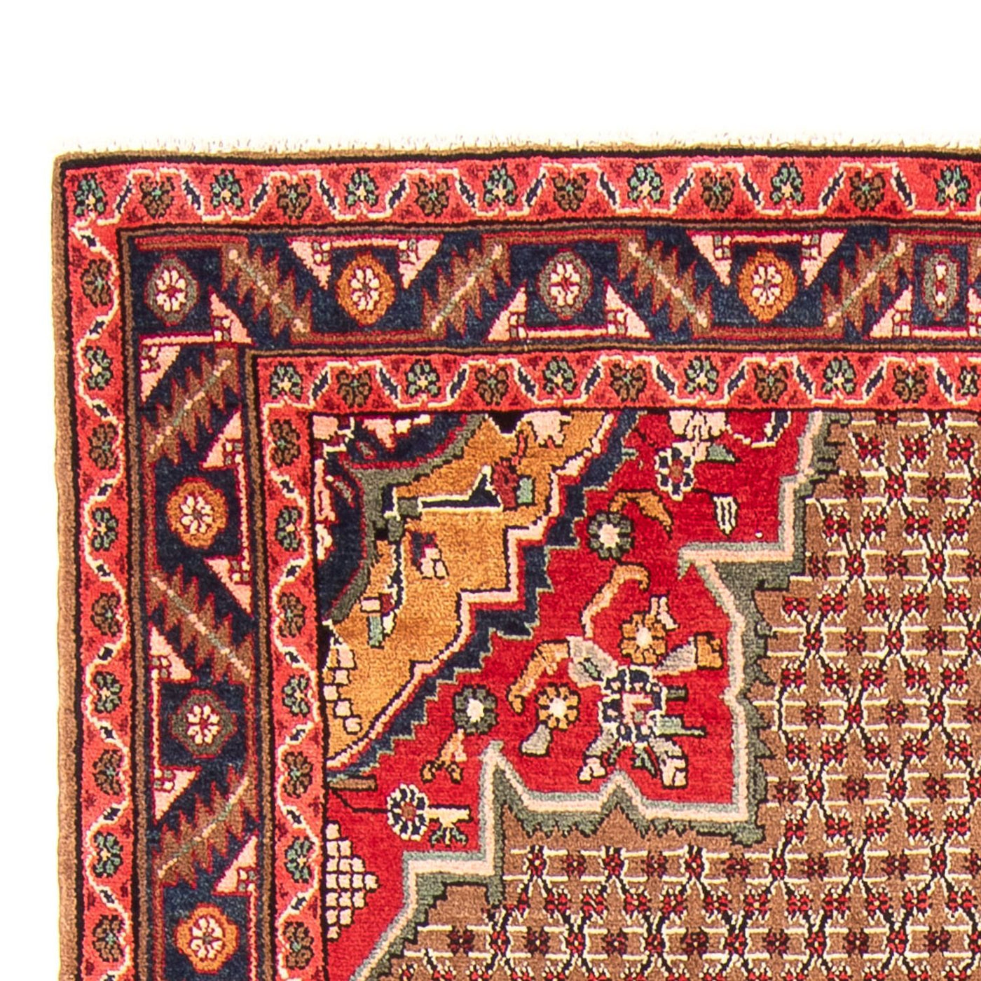 Kolyai Tappeto 285x155cm - Tappeto persiano