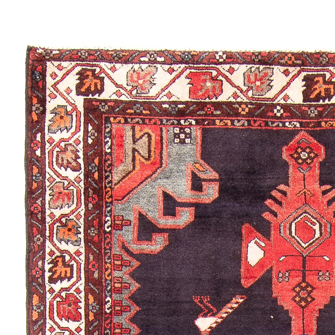 Kolyai Tappeto 295x147cm - Tappeto persiano