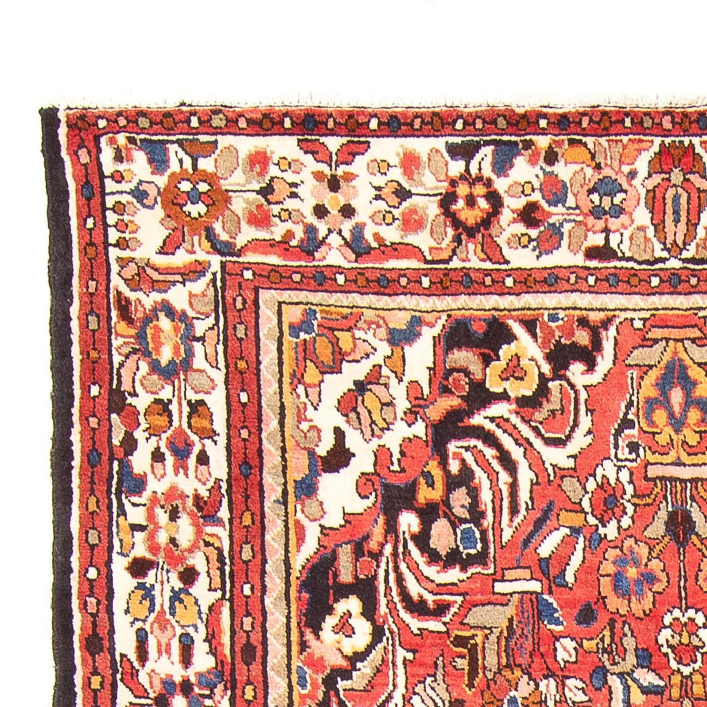 Hamadan Tappeto 300x158cm - Tappeto persiano