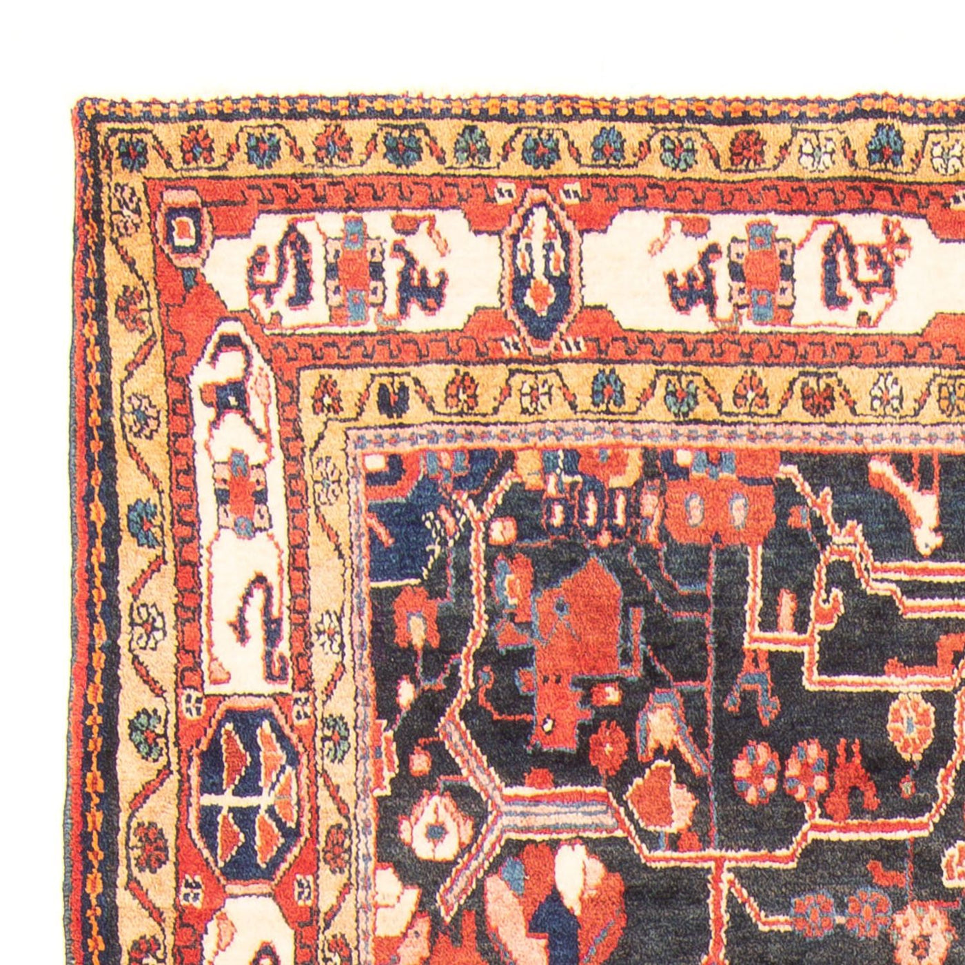 Nahavand Tappeto 277x165cm - Tappeto persiano