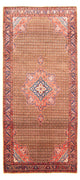 Kolyai Tappeto 310x155cm - Tappeto persiano