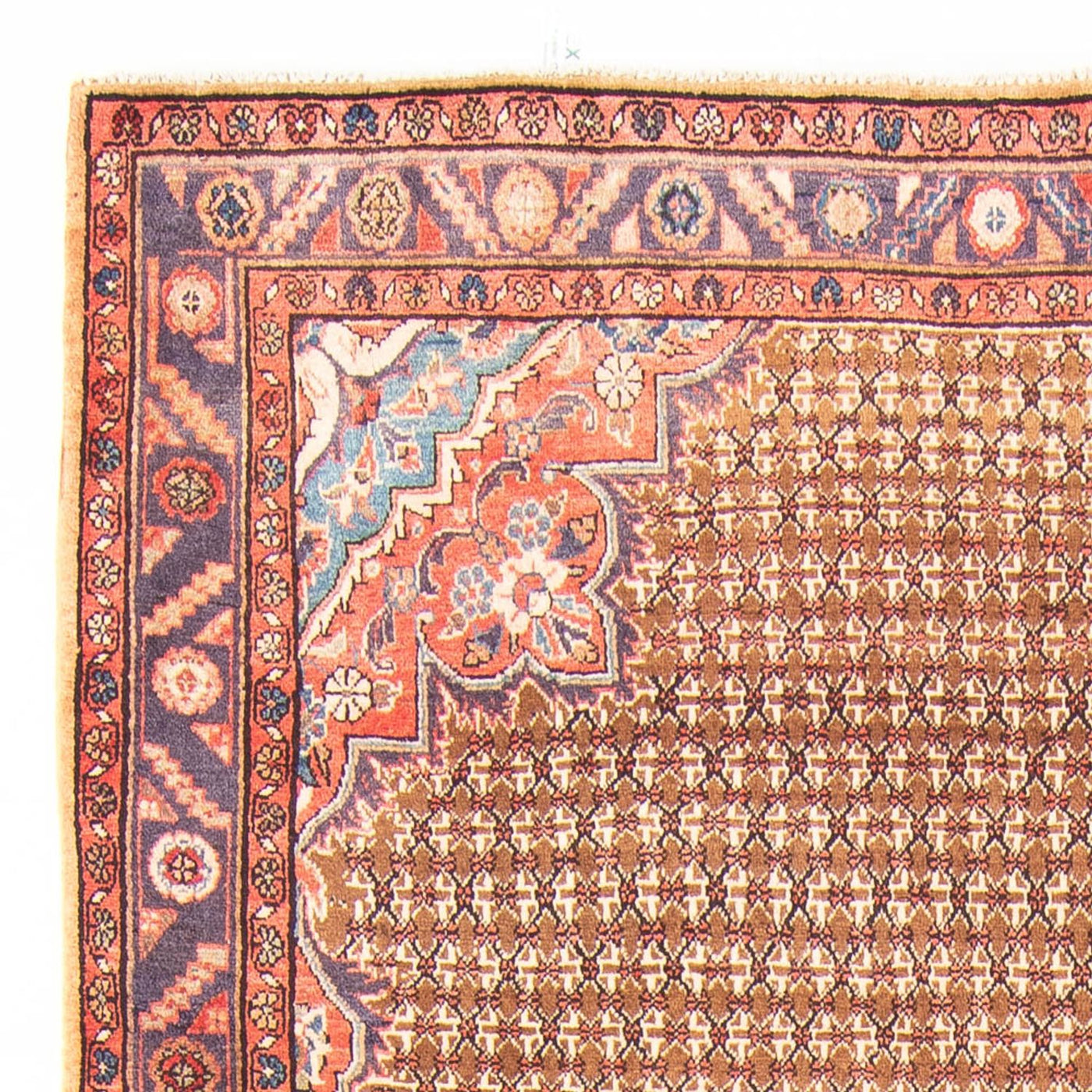 Kolyai Tappeto 310x155cm - Tappeto persiano