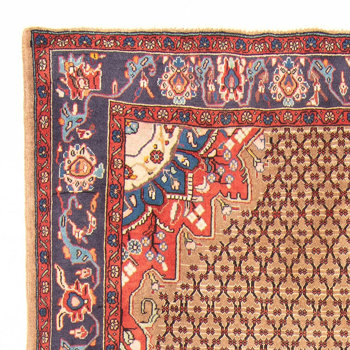 Kolyai Tappeto 150x310cm - Tappeto persiano