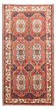 Bakhtiari Tappeto 300x166cm - Tappeto persiano