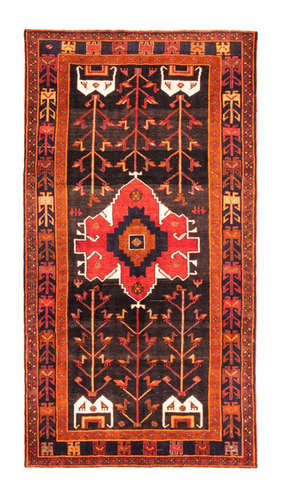 Kolyai Tappeto 162x303cm - Tappeto persiano