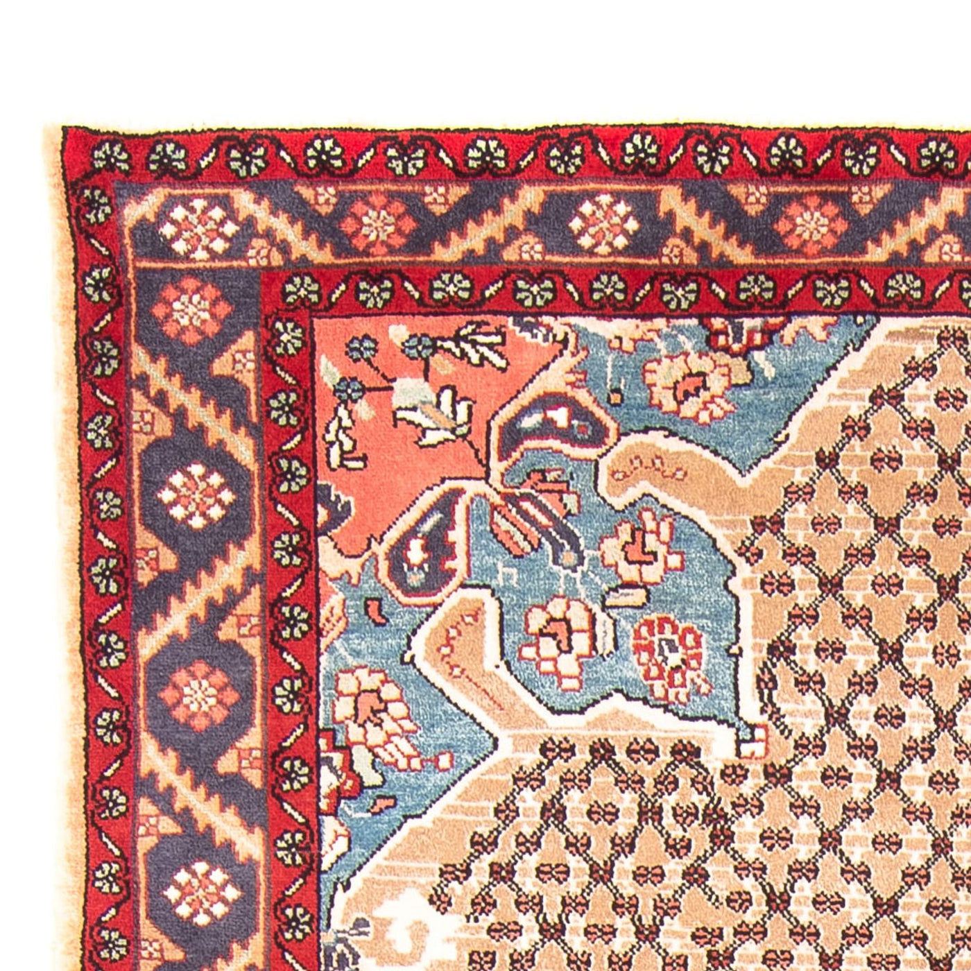 Kolyai Tappeto 290x150cm - Tappeto persiano
