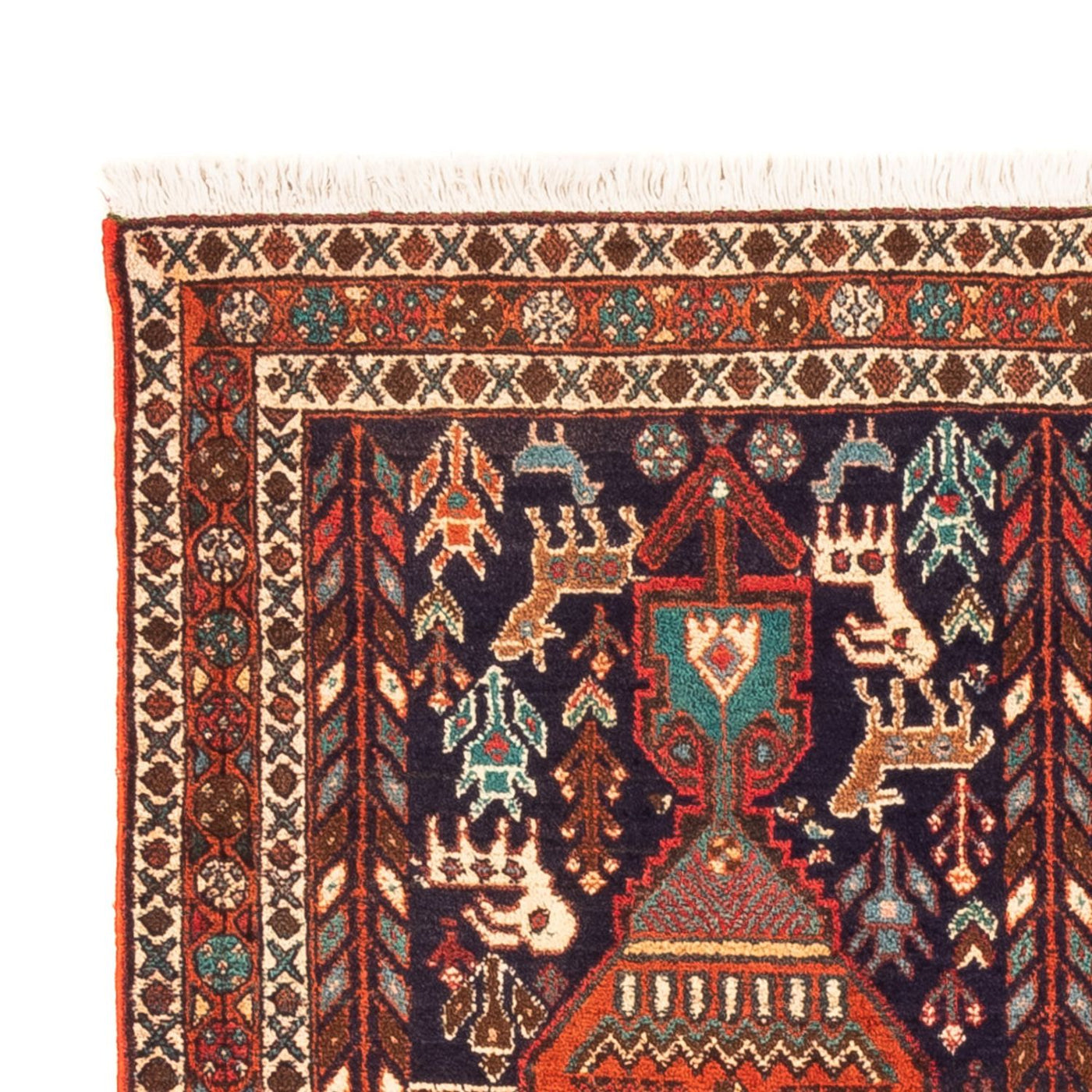 Afshar Sirjan Tappeto 165x103cm - Tappeto persiano