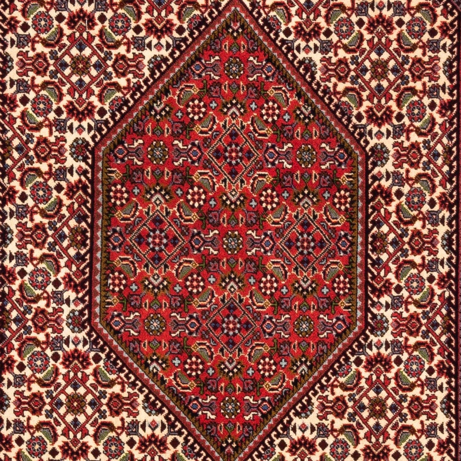 Tappeto Persero - Bidjar - 180 x 112 cm - crema