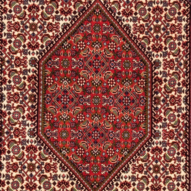 Tappeto Persero - Bidjar - 180 x 112 cm - crema