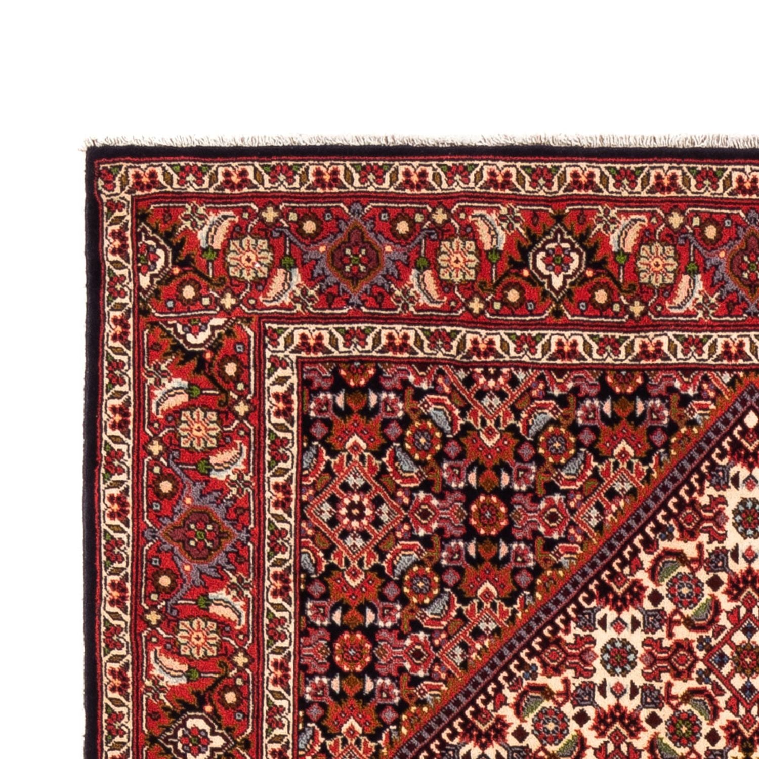 Tappeto Persero - Bidjar - 180 x 112 cm - crema