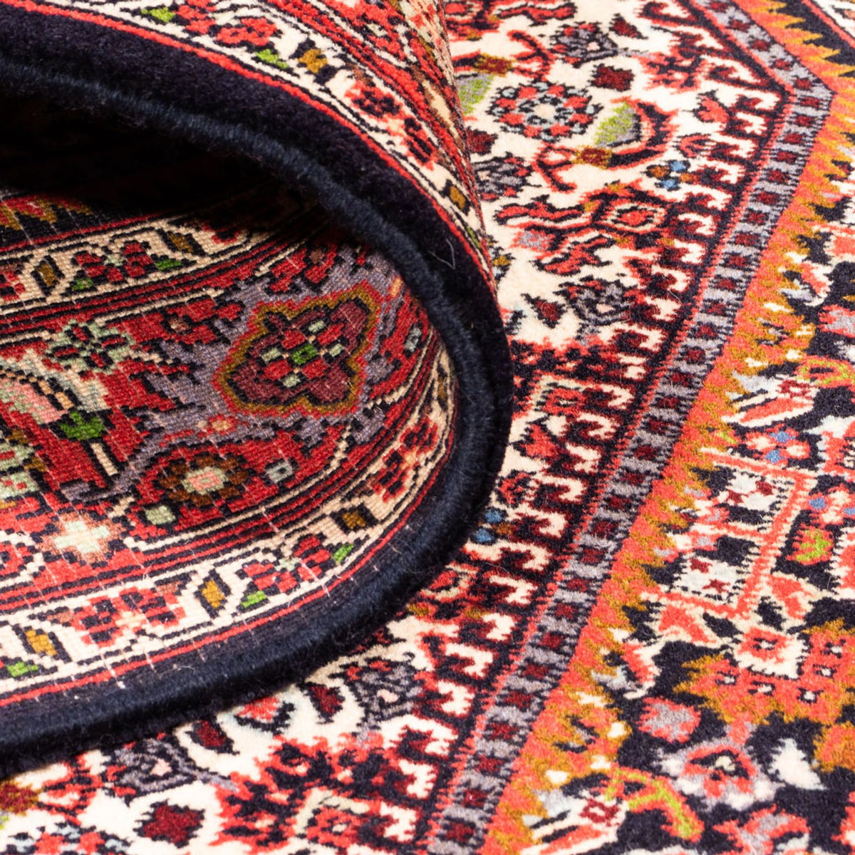 Tappeto Persero - Bidjar - 180 x 112 cm - crema