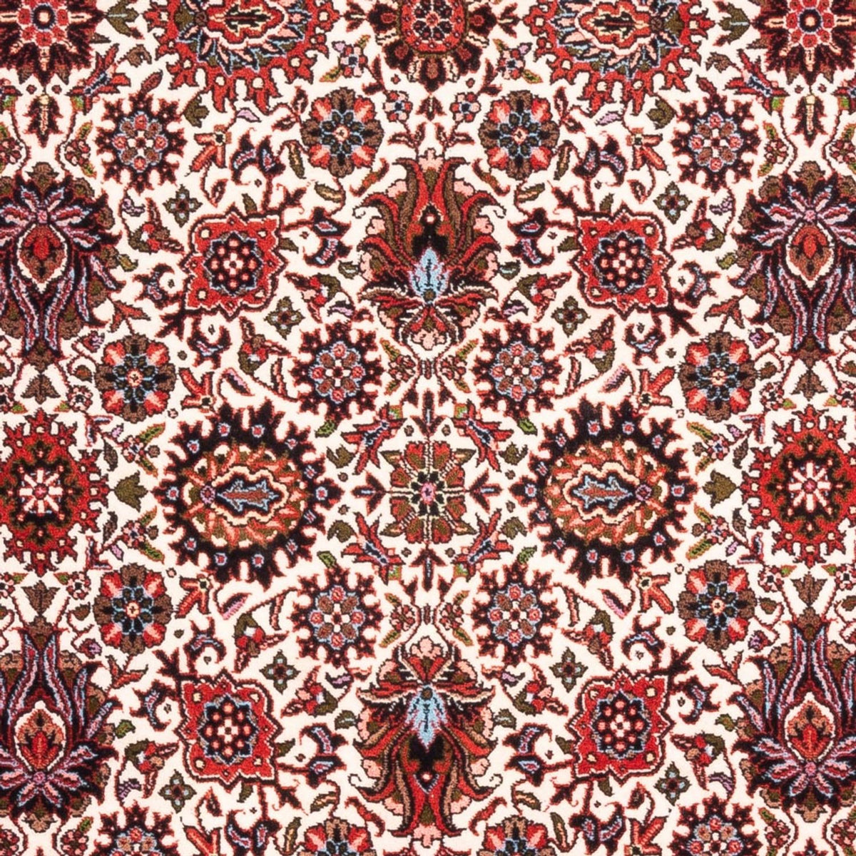 Tappeto Persero - Bidjar - 178 x 110 cm - crema