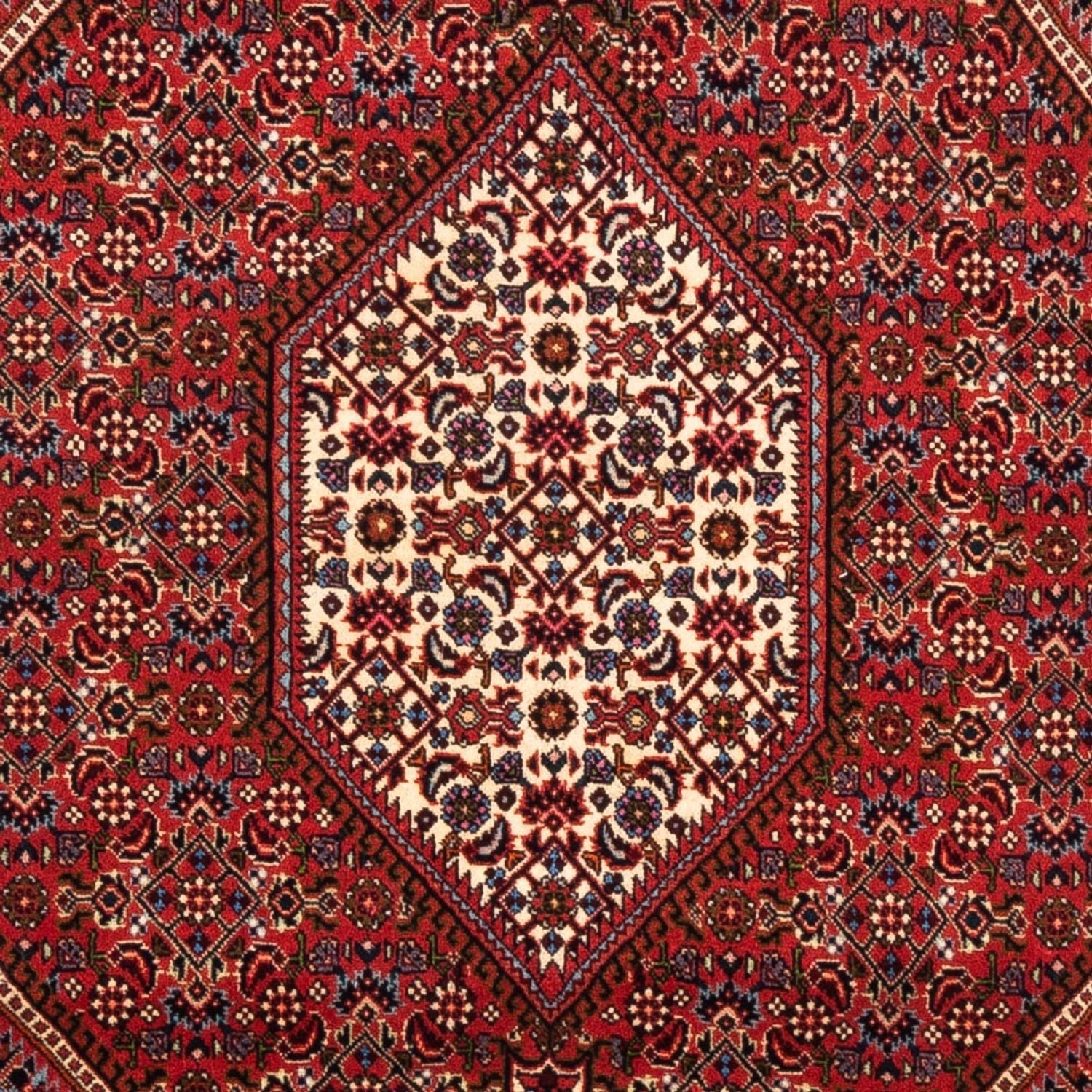 Tappeto Persero - Bidjar - 175 x 114 cm - rosso
