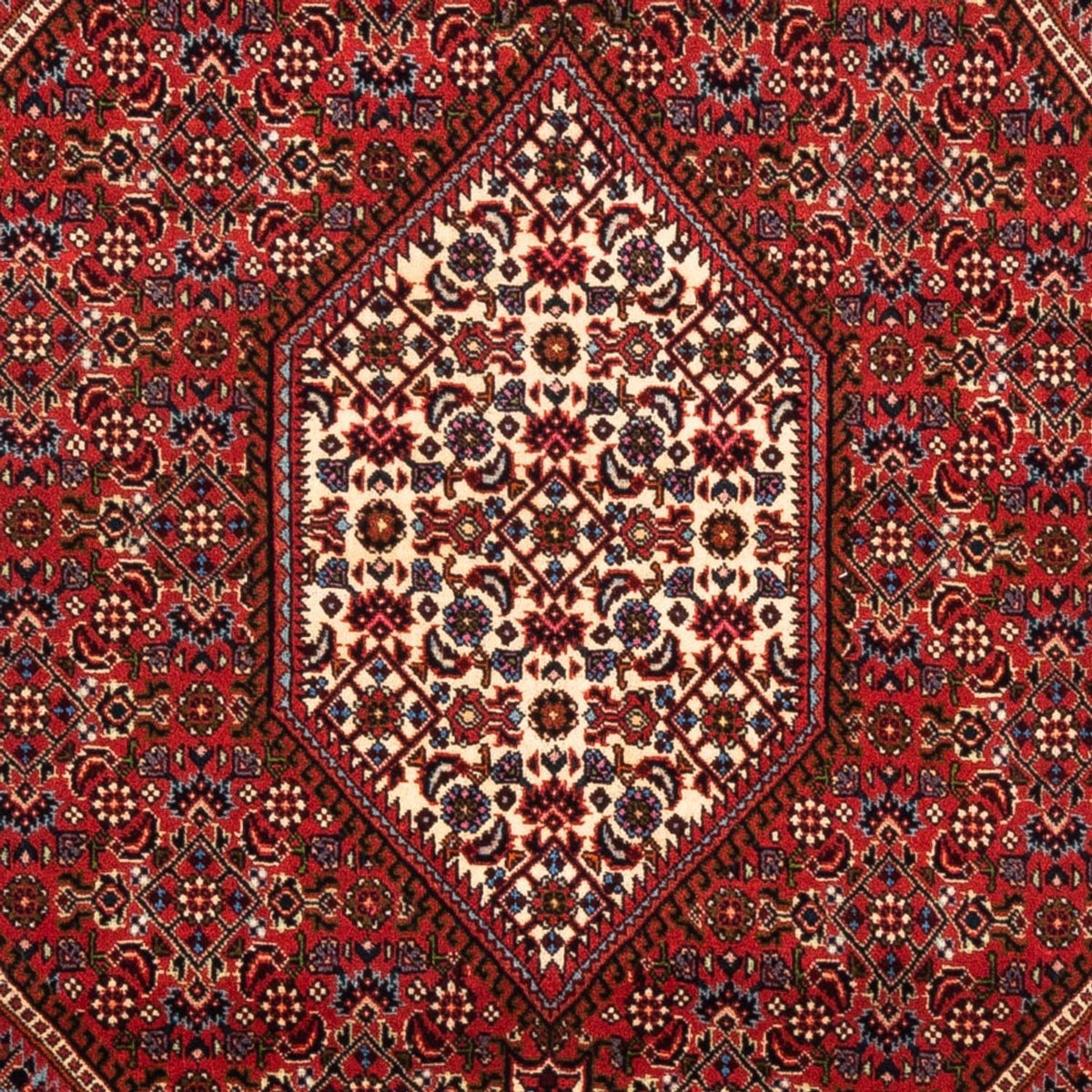 Tappeto Persero - Bidjar - 175 x 114 cm - rosso