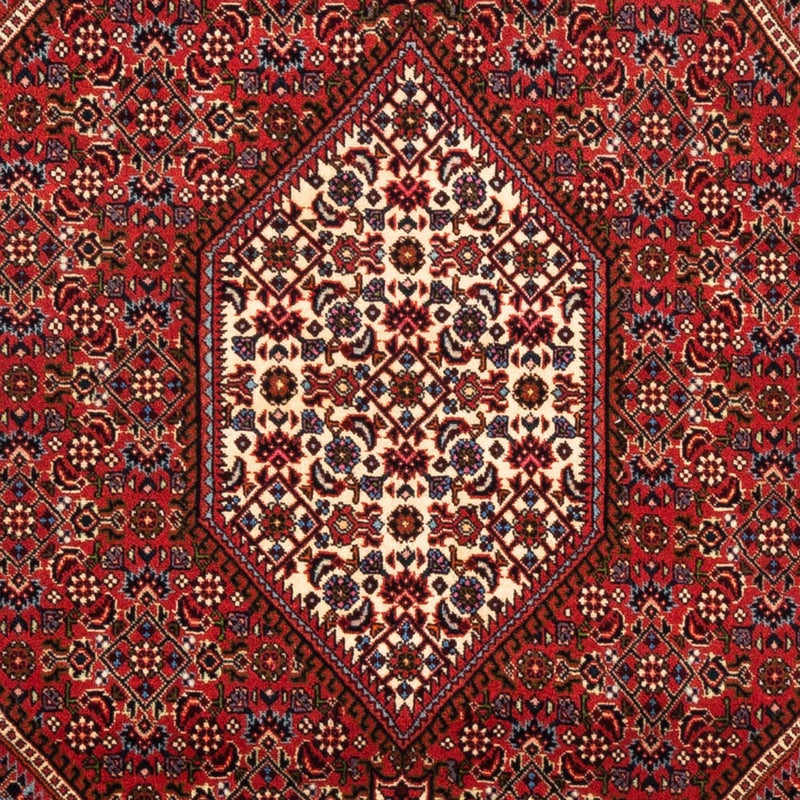 Tappeto Persero - Bidjar - 175 x 114 cm - rosso