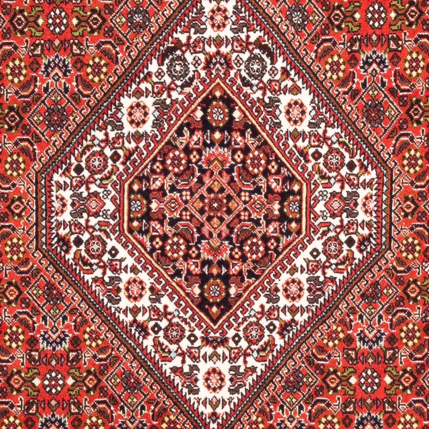 Tappeto Persero - Bidjar - 178 x 108 cm - rosso