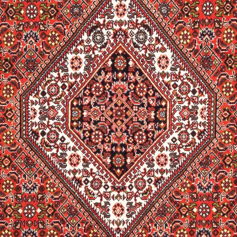 Tappeto Persero - Bidjar - 178 x 108 cm - rosso