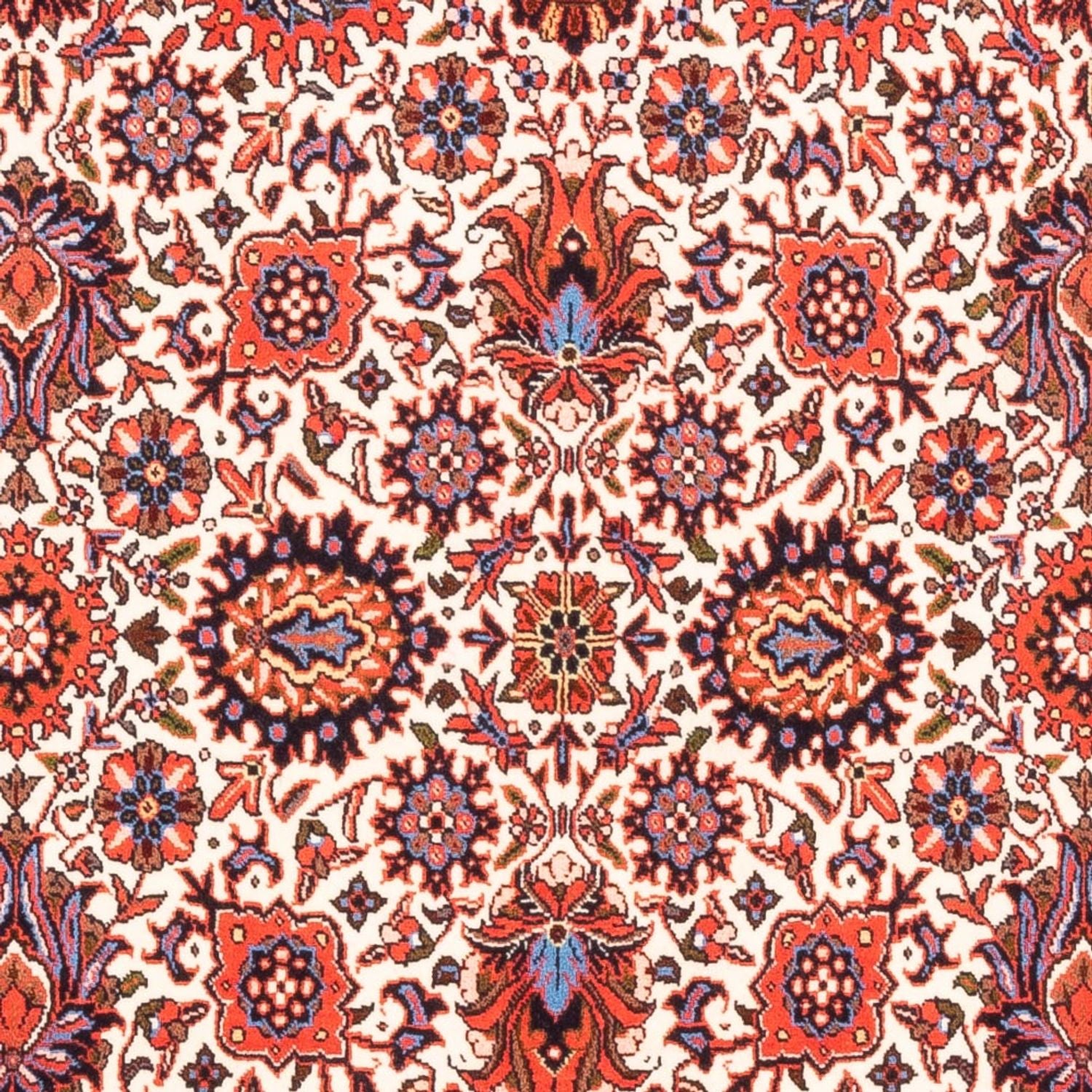 Tappeto Persero - Bidjar - 180 x 108 cm - crema