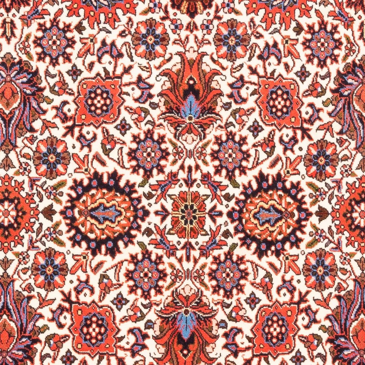 Tappeto Persero - Bidjar - 180 x 108 cm - crema