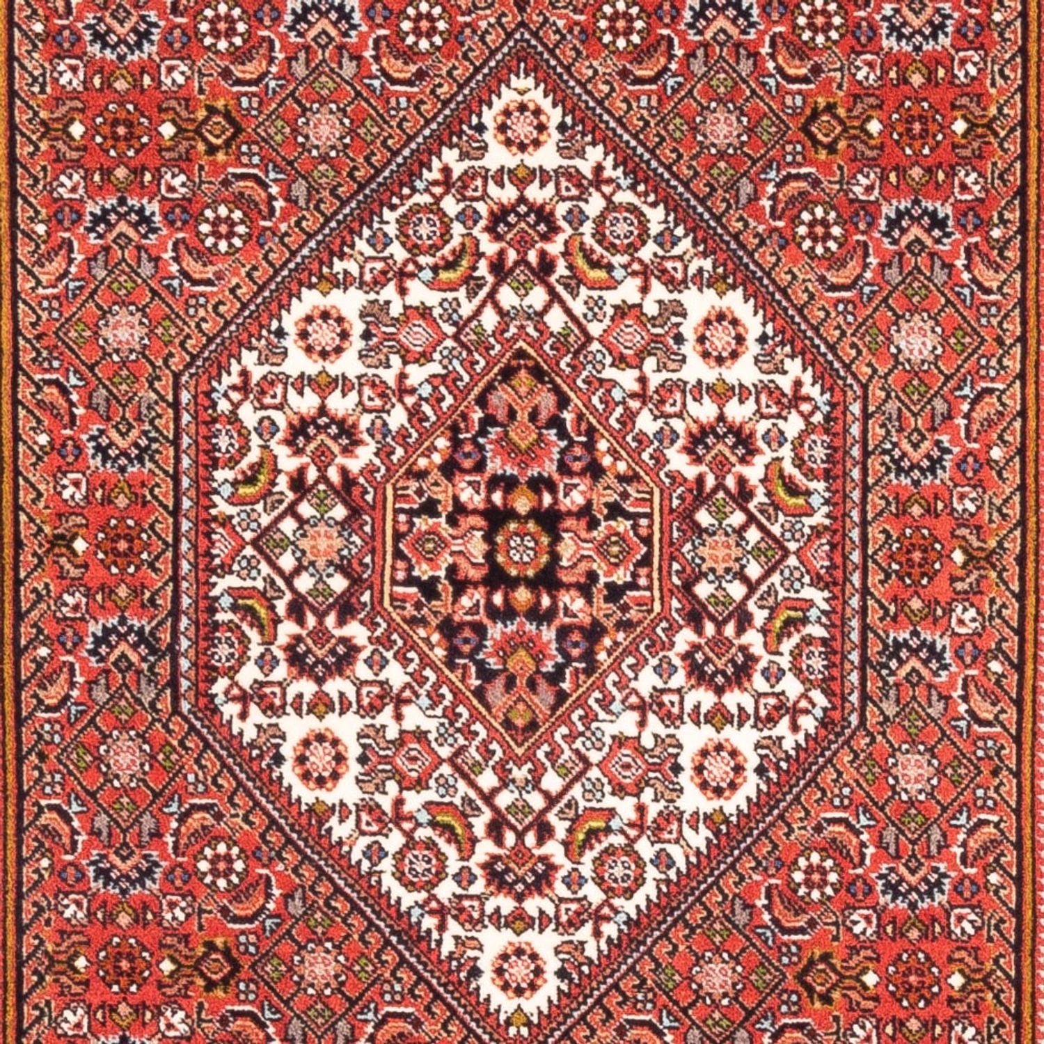 Tappeto Persero - Bidjar - 185 x 109 cm - rosso